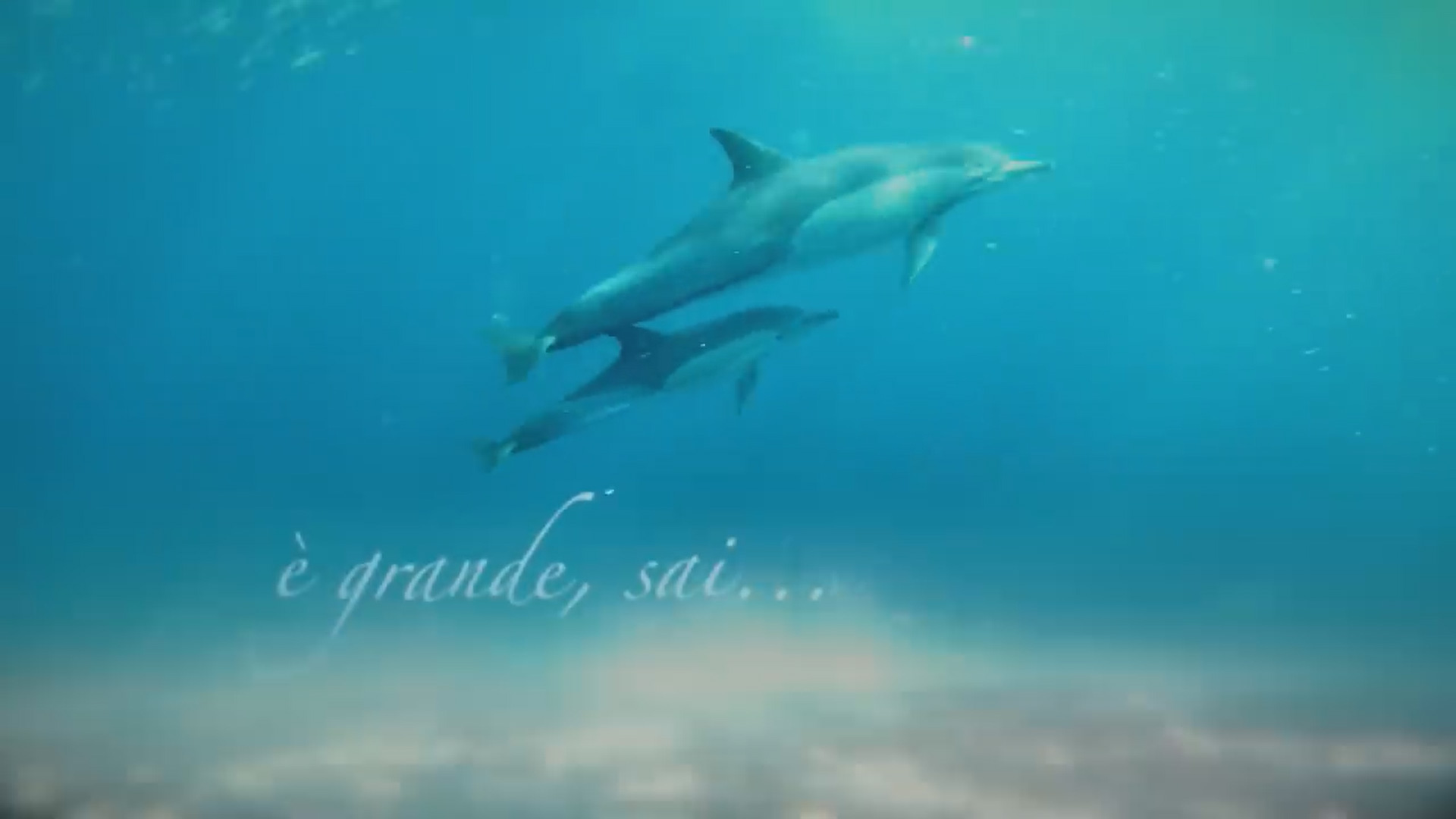 Iravox - COME I DELFINI (Official Video)